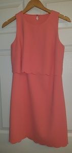 Loft coral dress
